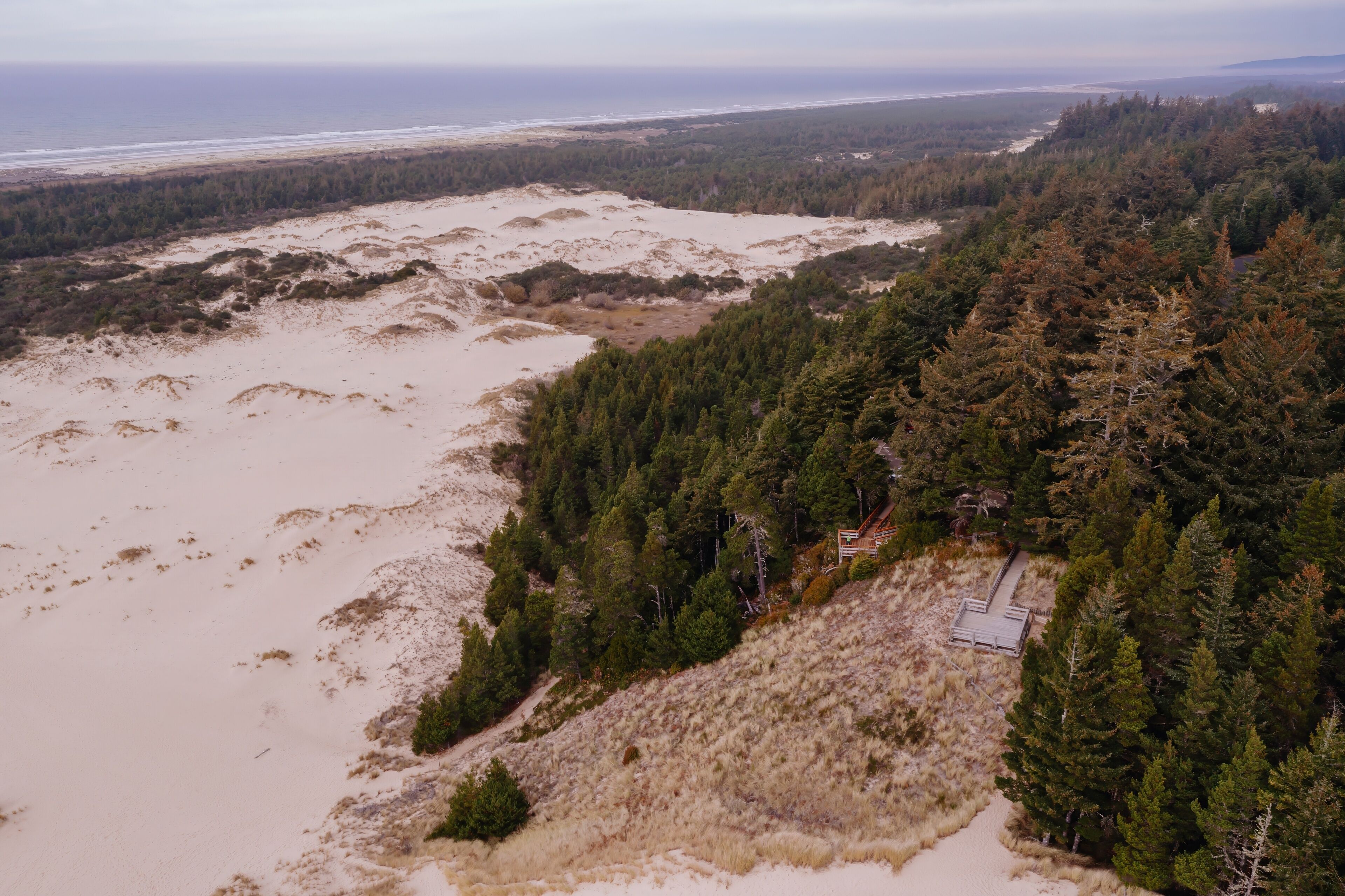 A coastal landscape with sandy dunes, dense forest, and a small building.