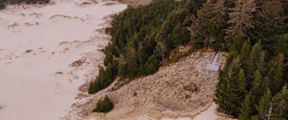 A coastal landscape with sandy dunes, dense forest, and a small building.