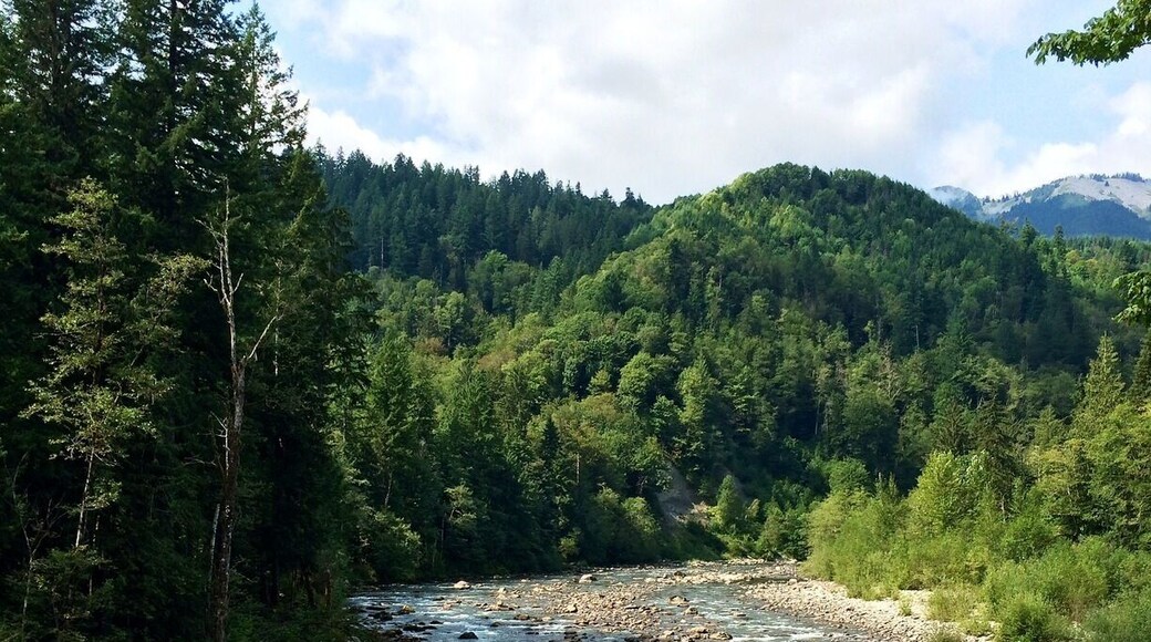 My boyfriend recommends camping and hiking here :)
Note: His favorite camping spot is somewhere in the woods.