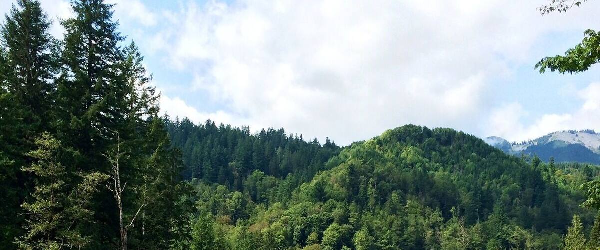 My boyfriend recommends camping and hiking here :)
Note: His favorite camping spot is somewhere in the woods.