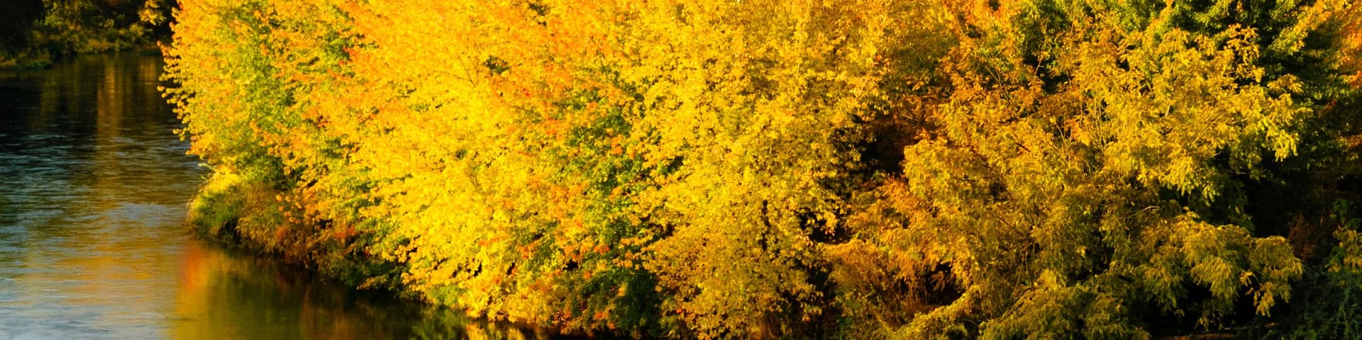 A river reflecting yellow foliage, surrounded by hills.