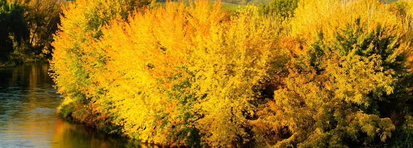 Un río que refleja follaje amarillo, rodeado de colinas.