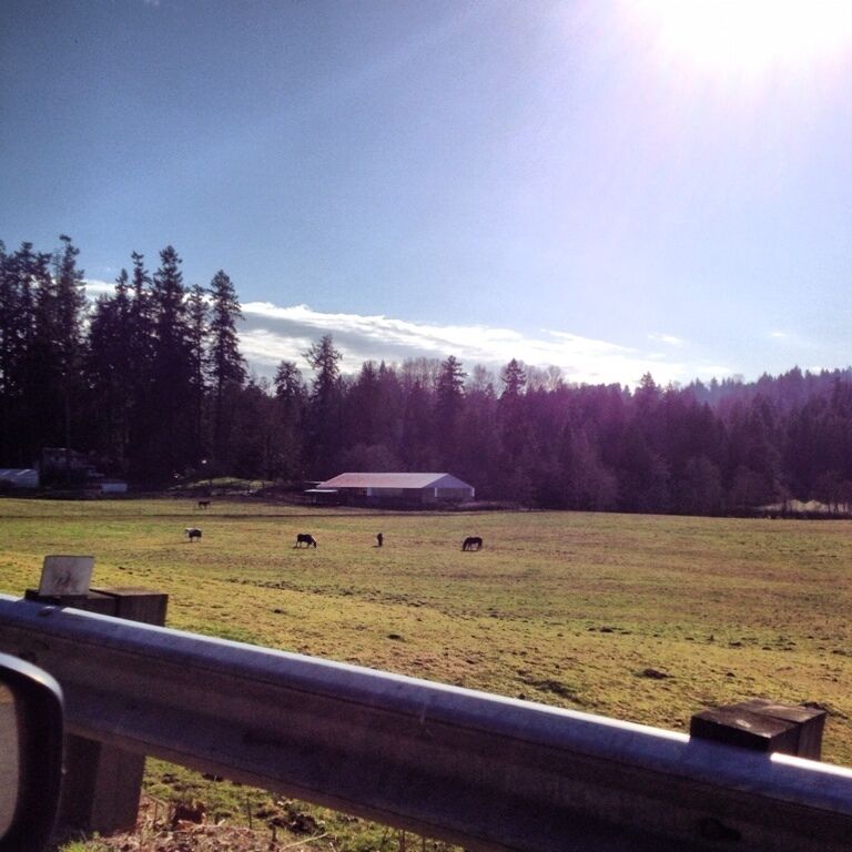 Wonderful area for a drive on a sunny day! A lot of people on motorcycles. This picture was taken near Bob's Corn Maze & Pumpkin Farm.