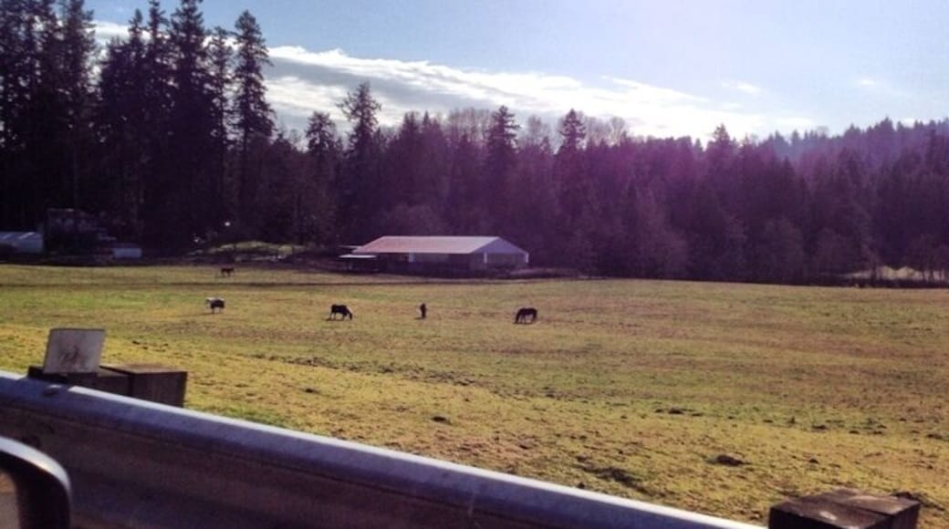 Wonderful area for a drive on a sunny day! A lot of people on motorcycles. This picture was taken near Bob's Corn Maze & Pumpkin Farm.