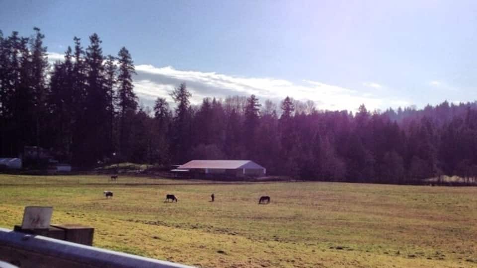 Wonderful area for a drive on a sunny day! A lot of people on motorcycles. This picture was taken near Bob's Corn Maze & Pumpkin Farm.