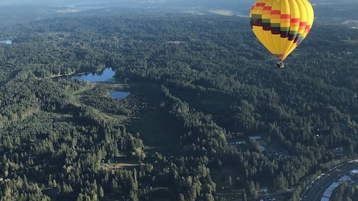 East side neighborhood - from the sky. Pure NW beauty. #lifeatexpedia