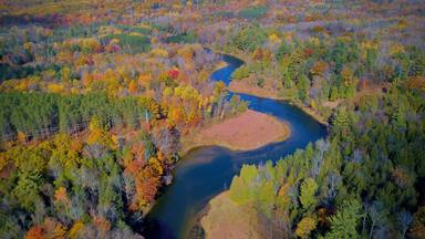 Manistee River Trail near the Suspension Bridge 2019