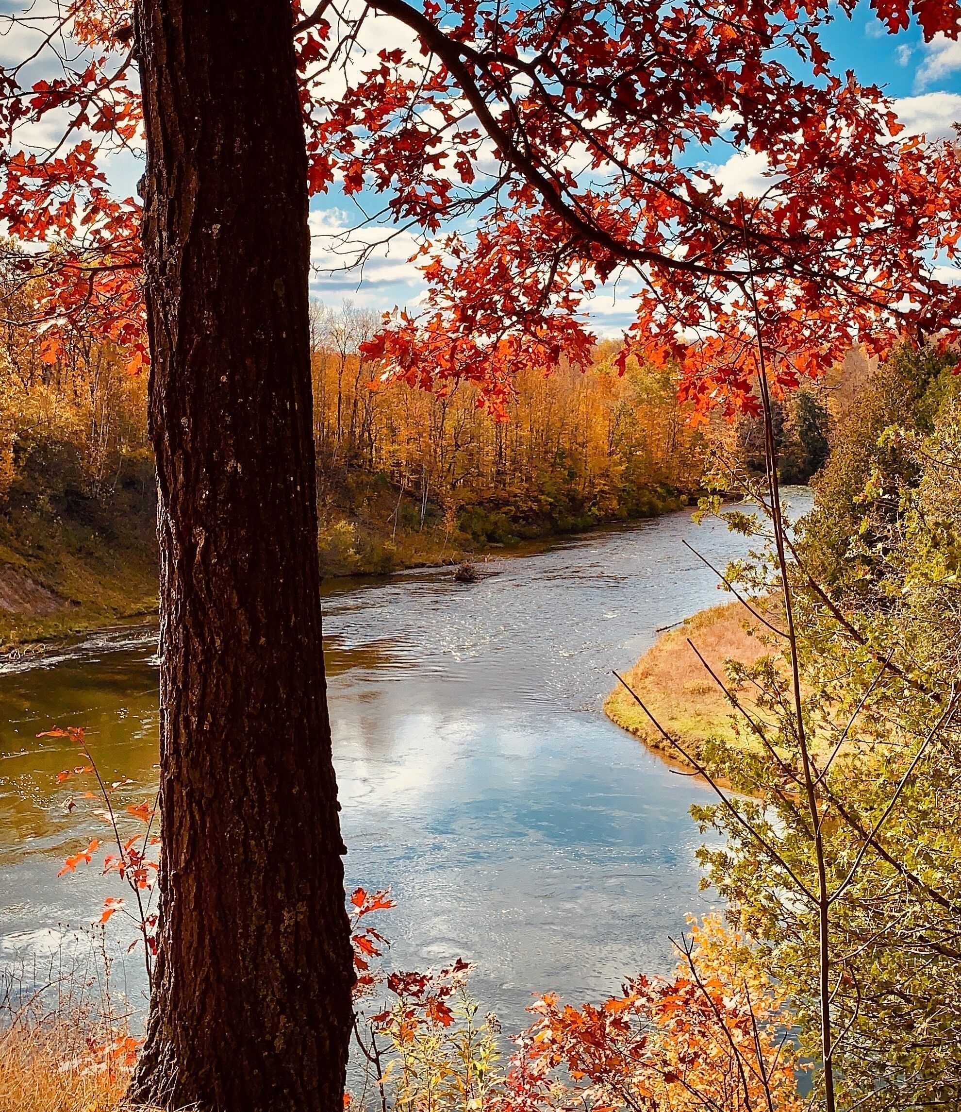 Manistee River Trail campsite 1B