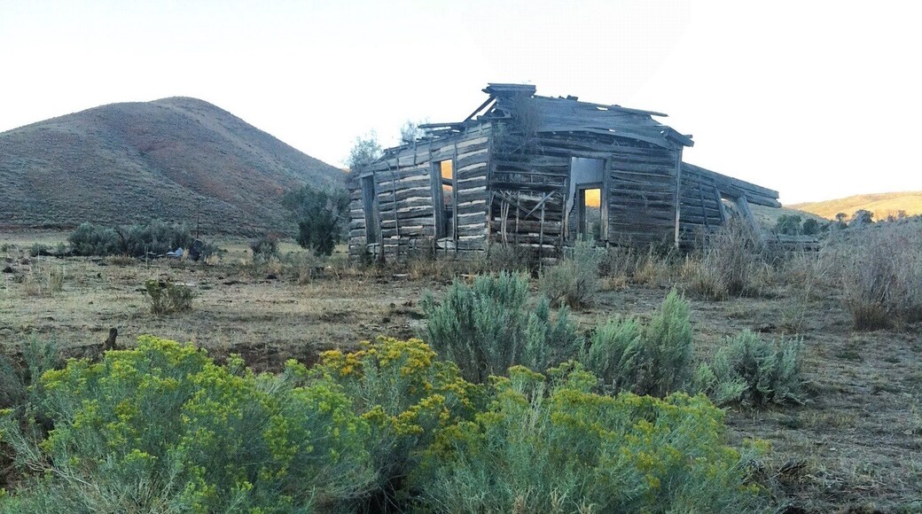 In a field in Henefer