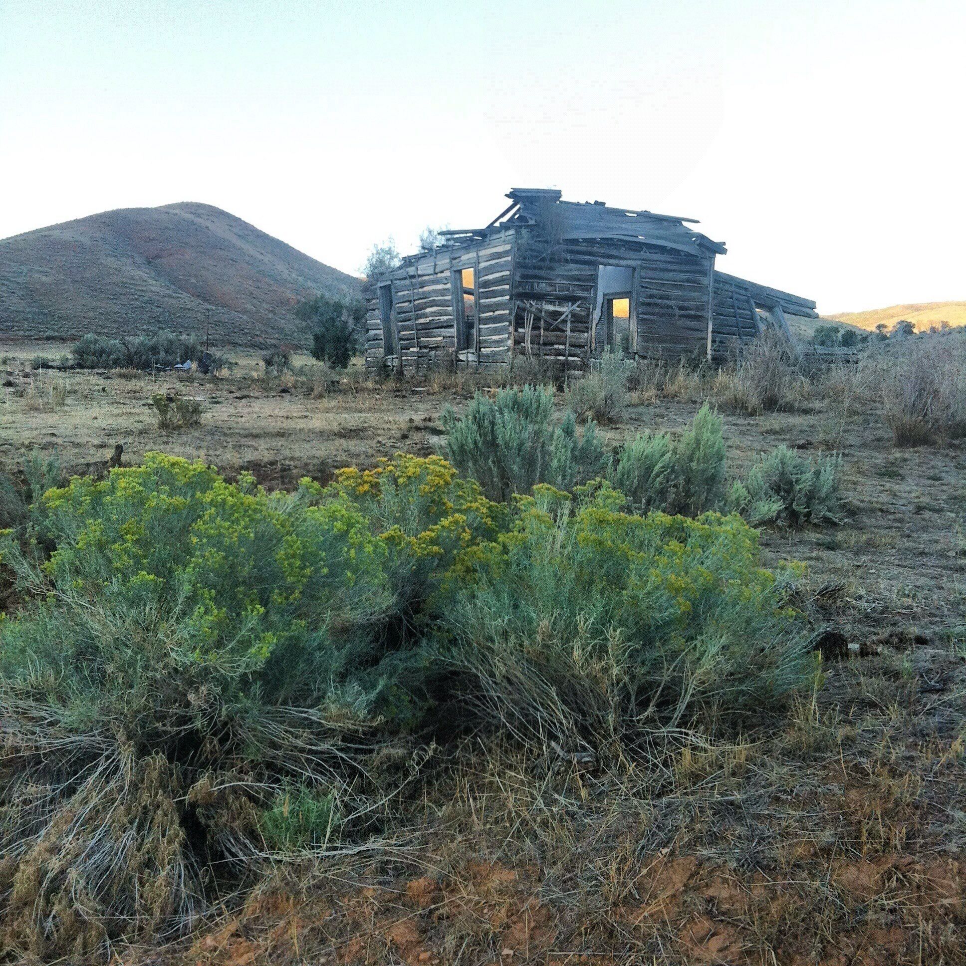 A dilapidated wooden structure in a desert landscape with sparse vegetation and hills in the background.
