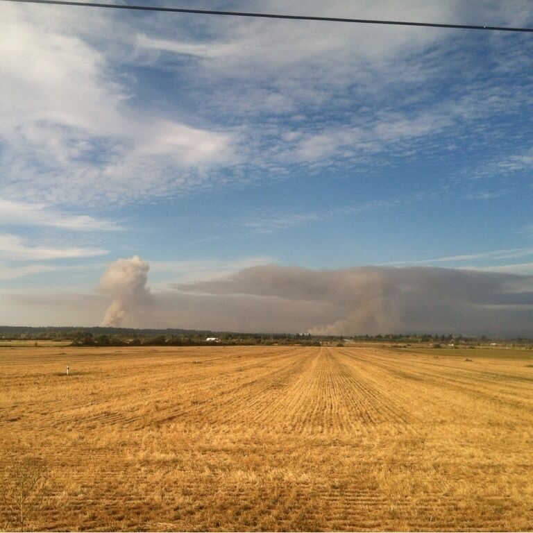 In the country we burn stuff..,so, other stuff won't burn..