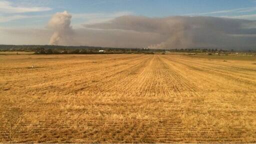 In the country we burn stuff..,so, other stuff won't burn..