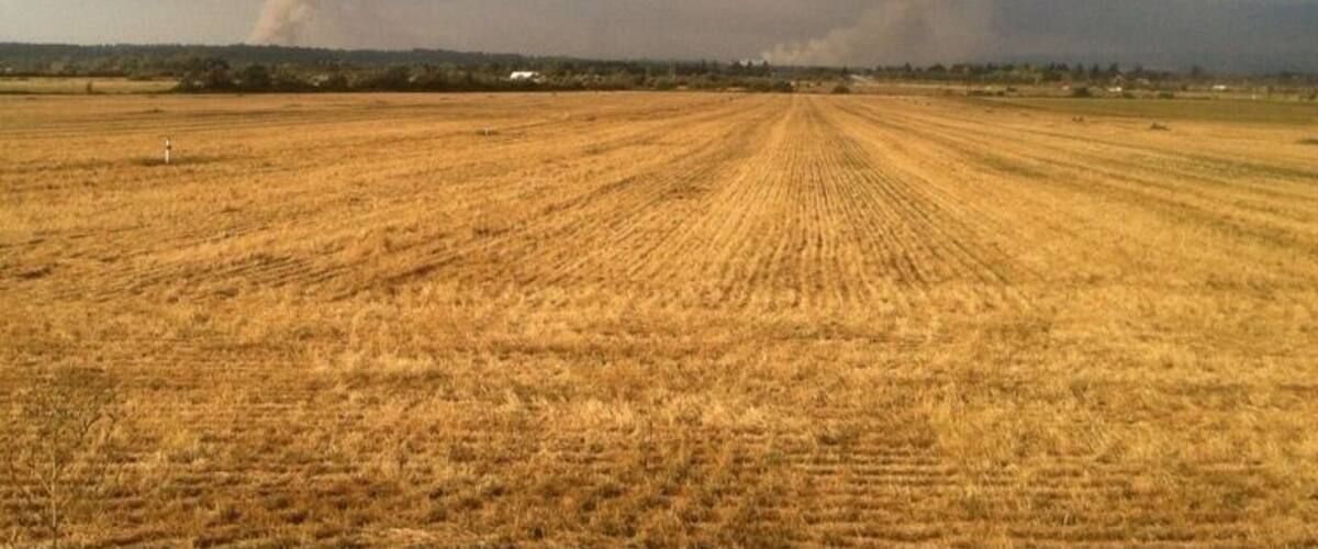 A vast open field with a distant tornado in the background.