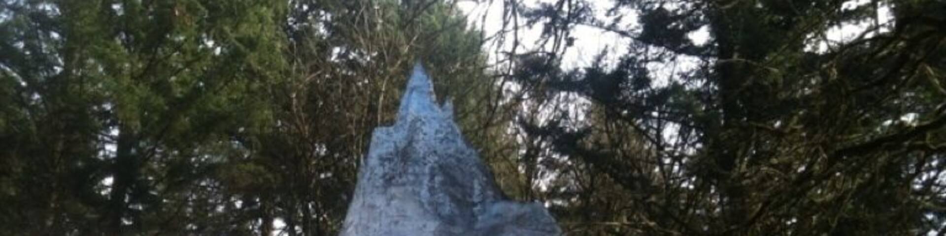 Weird, acid-trippy amusement park in the middle of the Oregon woods. This is basically a rip-off of the Matterhorn Bobsled ride called "Ice Cavern" or something.