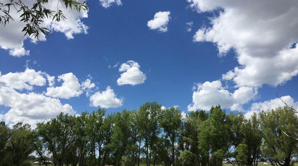 Everything looks beautiful on a summer day...