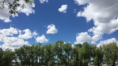 Tyyni järvi, jonka ympärillä on vehreää, vihreää puustoa, ja yllä kirkkaan sininen taivas, jossa on satunnaisesti pilviä.
