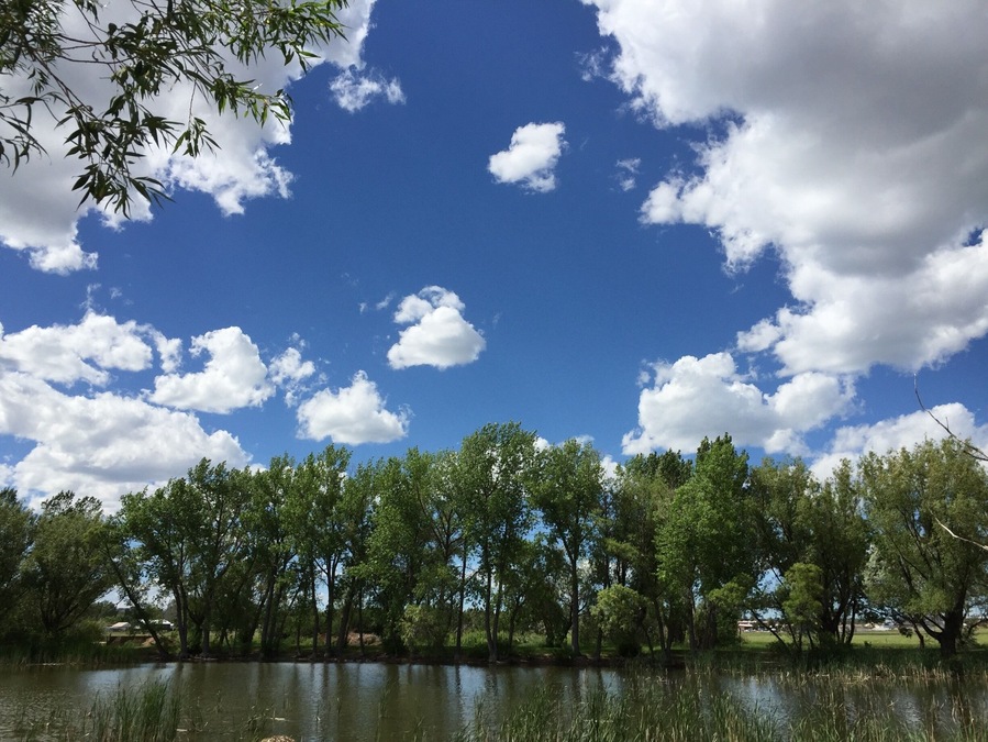 Everything looks beautiful on a summer day...