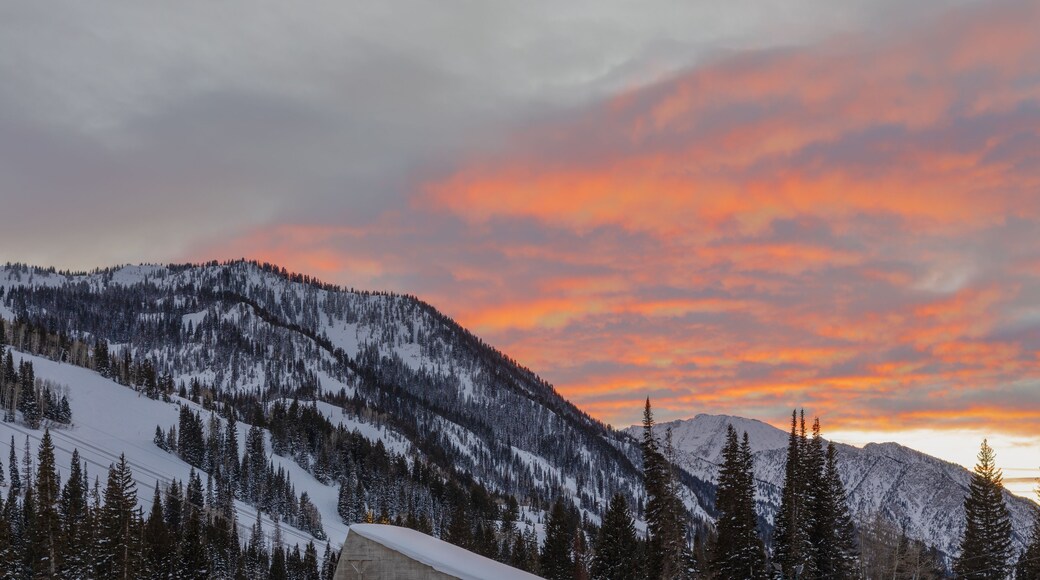 ไวท์ ซิตี