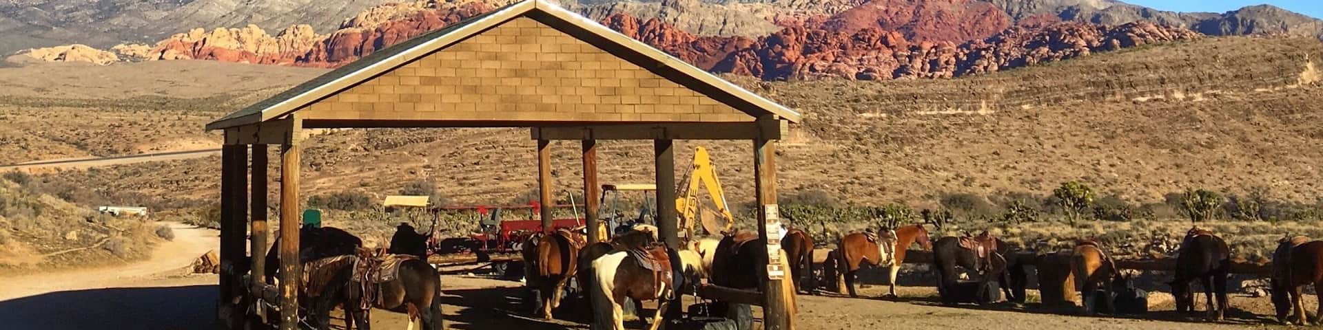 I imagined myself as a cowboy in the Wild West when I took the Canyon Rim tour offered by Cowboy Trail Rides. Great way to get away from the smoke and glitter of Las Vegas, and they made it fun for my family of horseback riding novices. Make sure to take some cash to tip your guide!