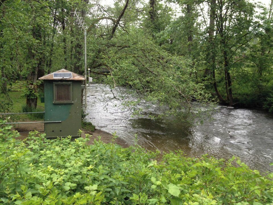 A river with a small green structure, surrounded by dense green foliage.