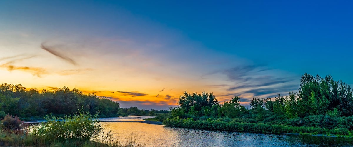 A river surrounded by dense forest during sunset.