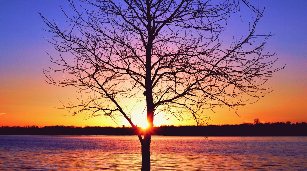 Lake Sunset