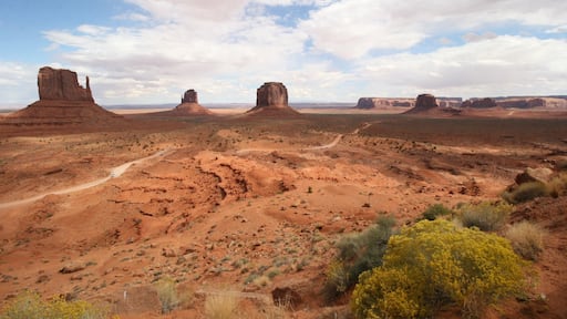 So far from anything, so hard to get to, but so worth it. The local Navajo Guides with Jeeps for hire will laugh when you say you're thinking of doing this 17-mile loop through the most famous buttes of Monument Valley in a small car, but go ahead and do it. Carefully. We saved $170 and were able to maneuver through the gulleys and rocks just fine. Driving ourselves enabled us to decide how long to spend at each spot, and whether to keep driving or get out and hike at our whim. Take water and lunch! #Navajo #MonumentValley #Arizona #landscape