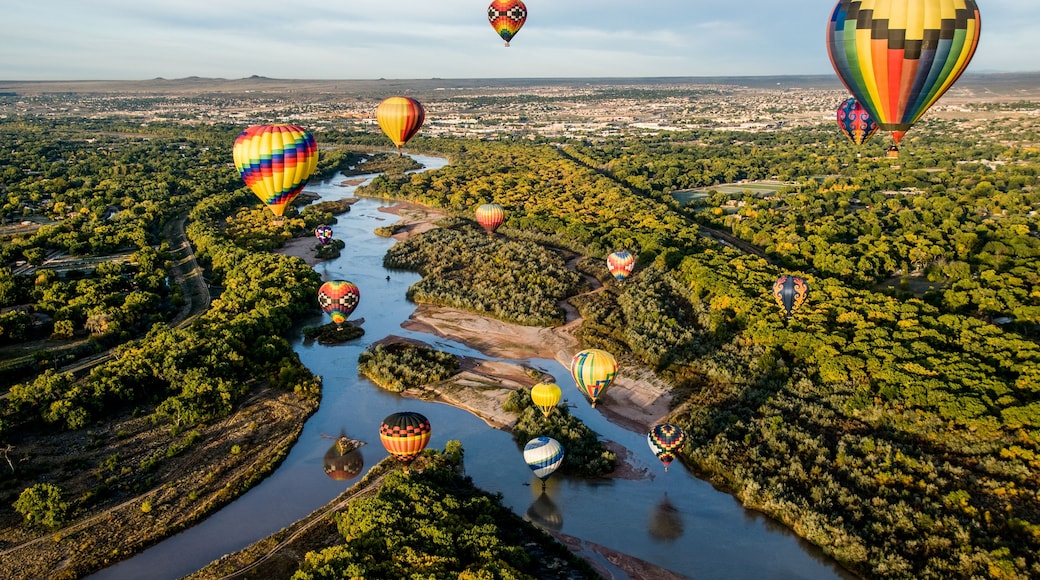 A river winding through a densely forested area with multiple hot air balloons.
