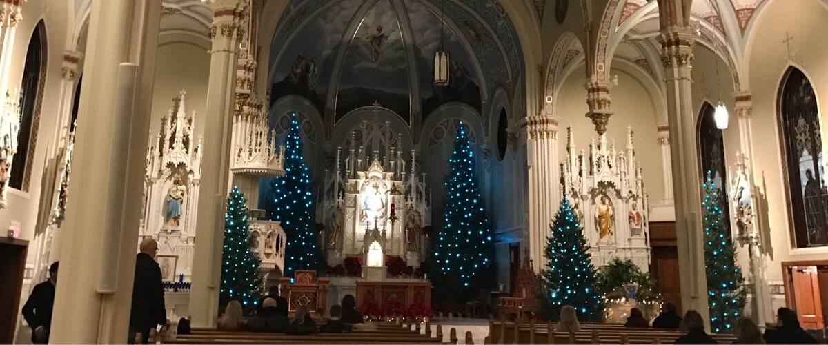 An ornate church interior with high vaulted ceilings, decorated columns, and blue-lit Christmas trees.