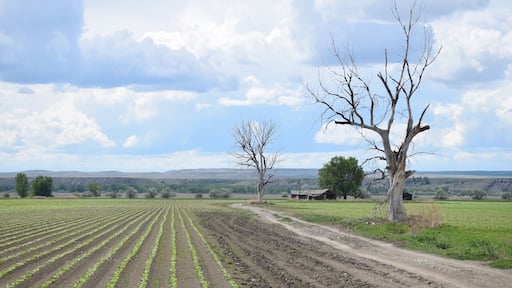 This is near St. X as they say out here, headed out to Yellowtail Dam, a must see if you're out this way.
