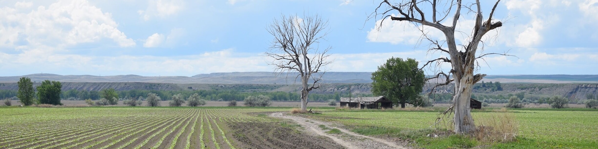 This is near St. X as they say out here, headed out to Yellowtail Dam, a must see if you're out this way.