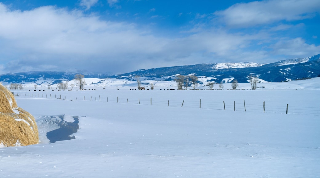 Haystacks and Snow, Moose-Wilson Road, Jackson, Wyoming
