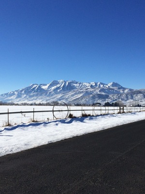 Beautiful view of Mt. Timpanogos.