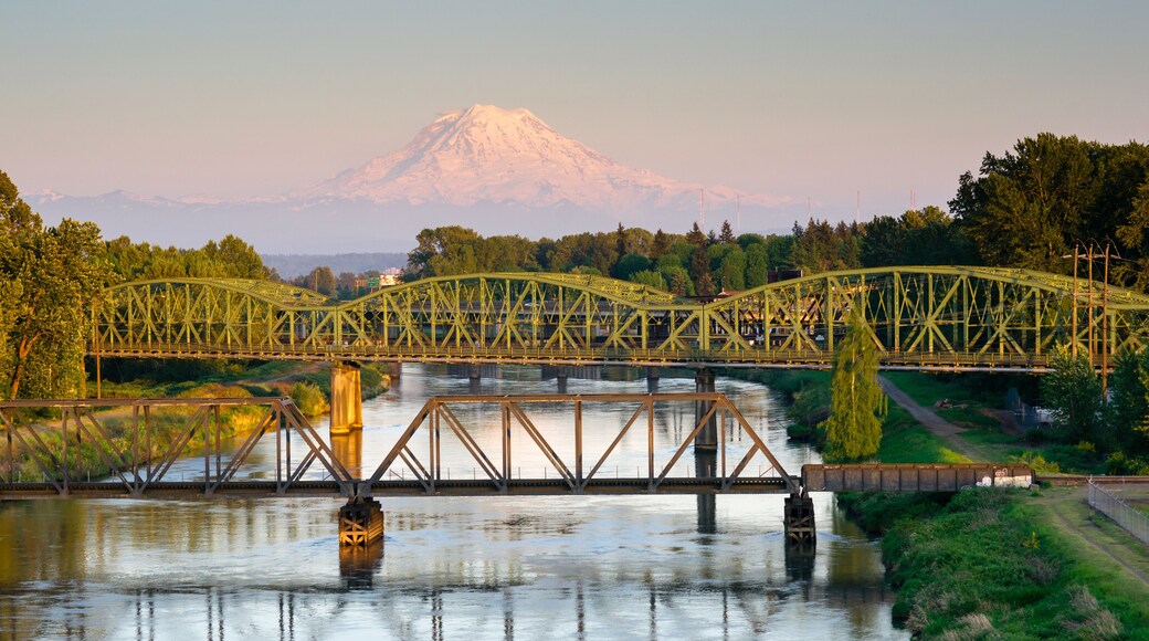 Railroad Car Bridges Puyallup River Mt. Rainier Washington