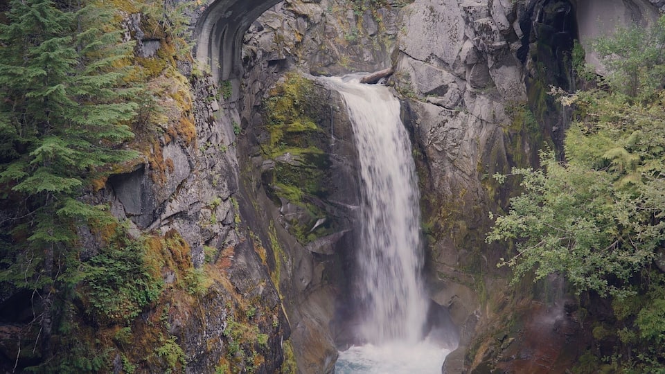 On our way to Mt Rainier, many a wonders along the road, the water here is sacred and shapes the mountain each day, for thousands of years... Mt Tahoma/ Mt Rainier. #AquaTrove
