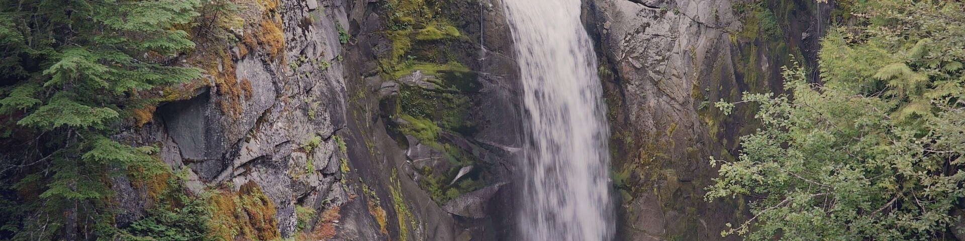 On our way to Mt Rainier, many a wonders along the road, the water here is sacred and shapes the mountain each day, for thousands of years... Mt Tahoma/ Mt Rainier. #AquaTrove