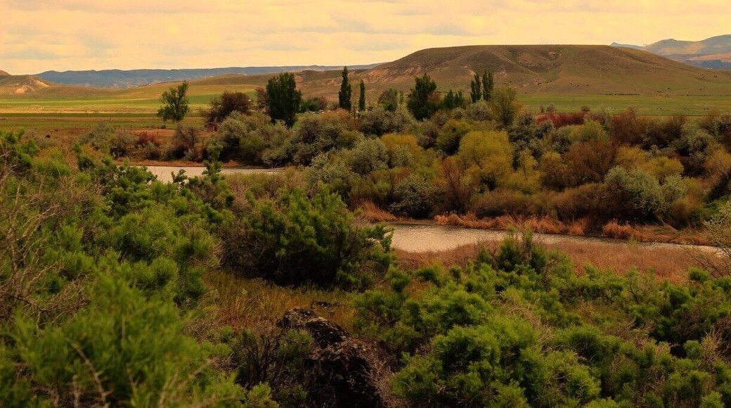 Snake River and farm lands