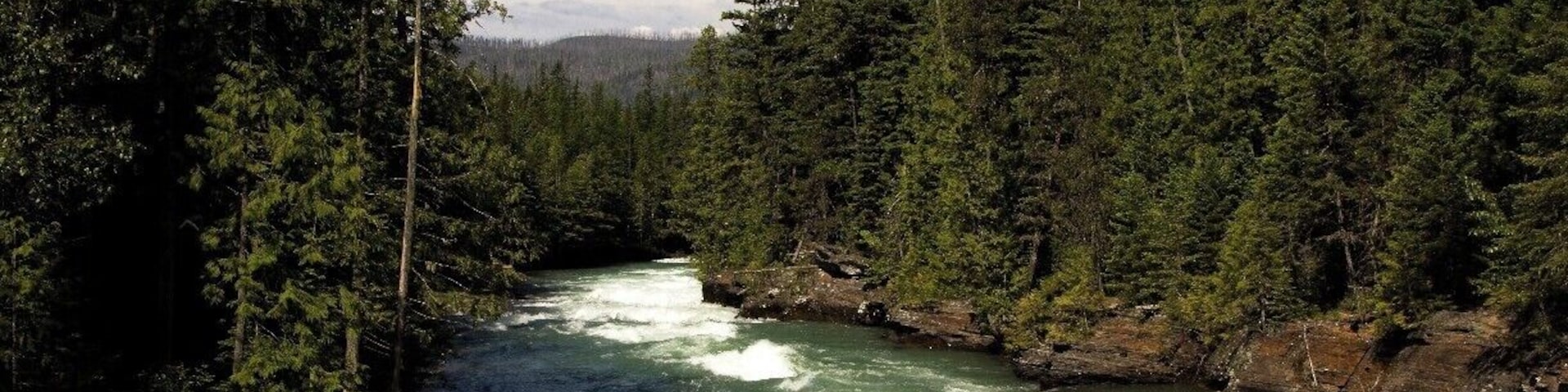 Drive along this aqua blue creek when driving Going to the Sun Road towards Logan Pass. There are hiking trails and pull offs to enjoy the creek more!