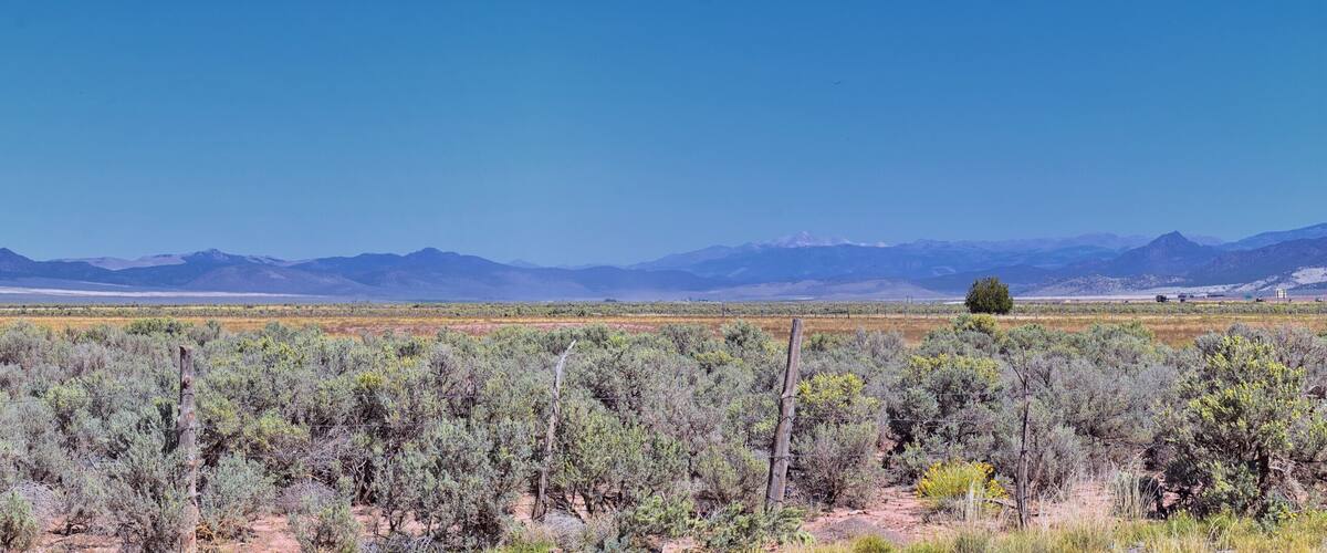 A desert landscape with sparse vegetation, distant mountains, and a clear sky.
