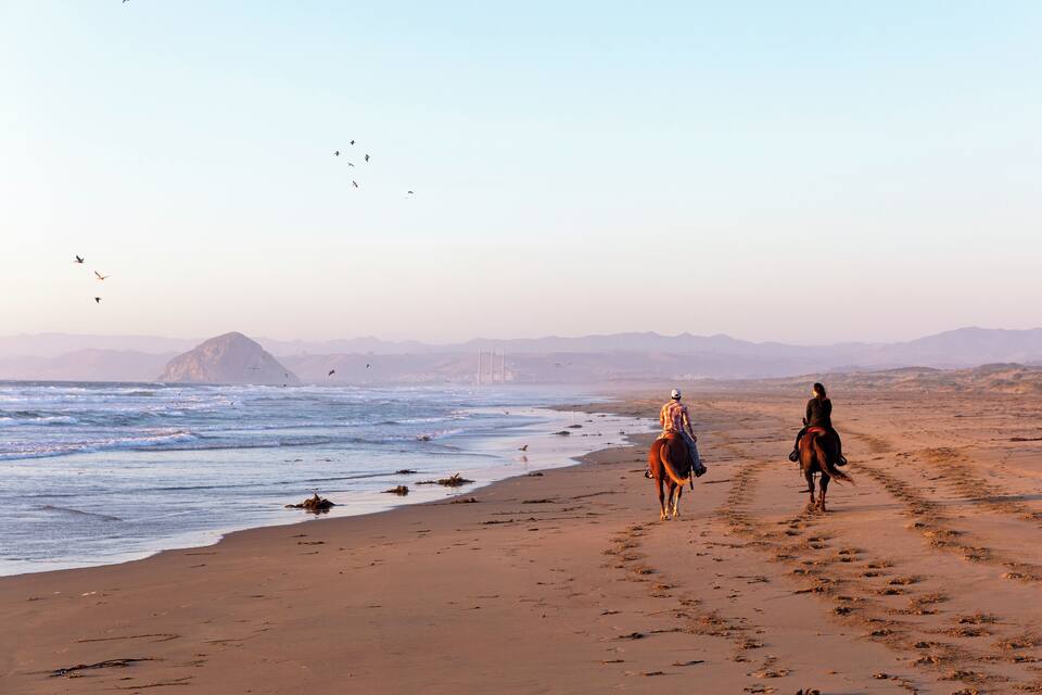 Praia com cavalos e cavaleiros, ondas do oceano e montanhas ao longe.