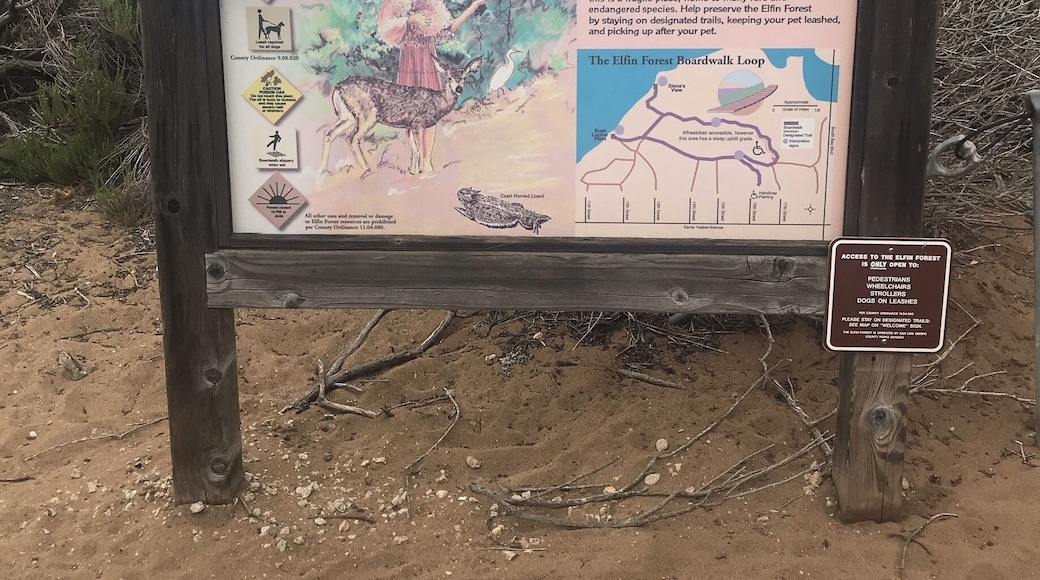 It’s always foggy but the sand is warm and the trees are very hobbit like. Beautiful views and a nice walk along the boardwalk.