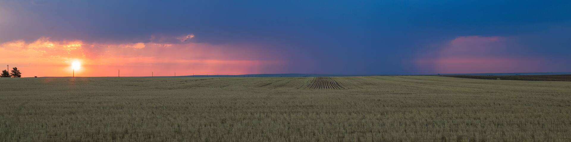 A vast field with a sunset in the distance and a stormy sky above.
