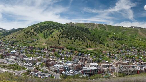 サウス スナイダービル ベイスン
