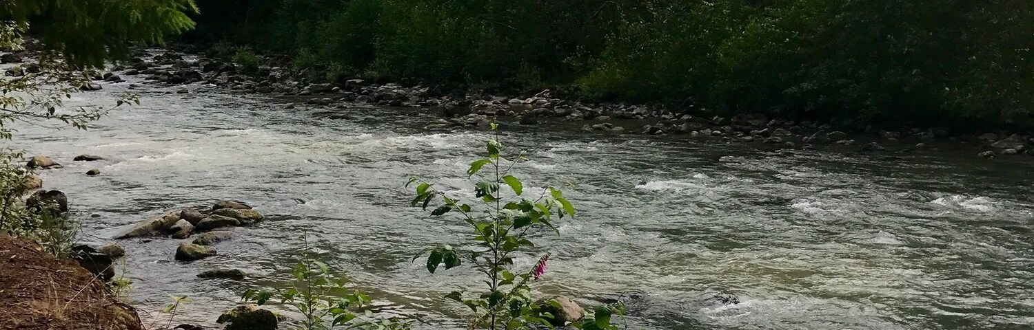 Hiking along the Sandy River in Oregon near.t #mthood #takeahike sweepstakes!