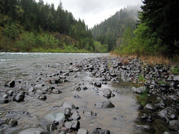 Awesome little campground outside Mt. Hood. Very cool spots by the river.