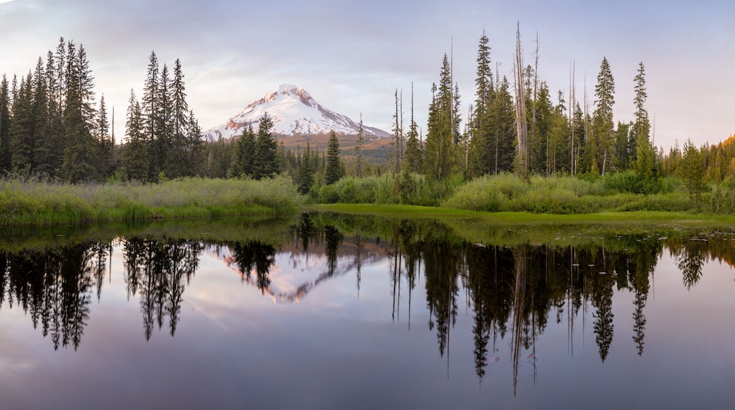 Mount Hood volcano reflected in a small lake near Government Camp village at sunset. Oregon, USA.
Popular tourist and skiing area. Summer season.
