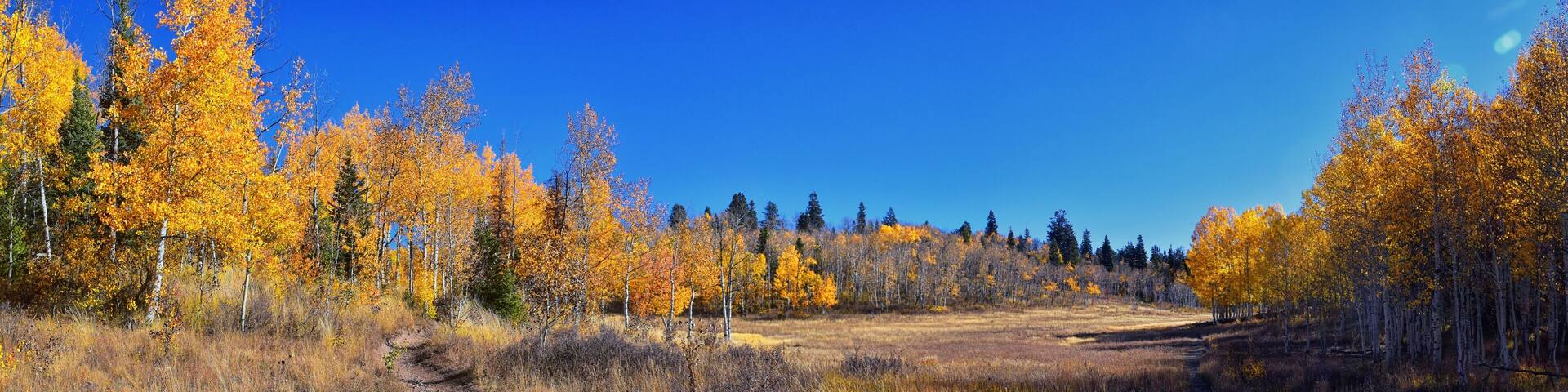 Pine Hollow hiking trail Mountain views by Timpanogos in the Wasatch Mountains Rocky Mountains, Utah. America.
