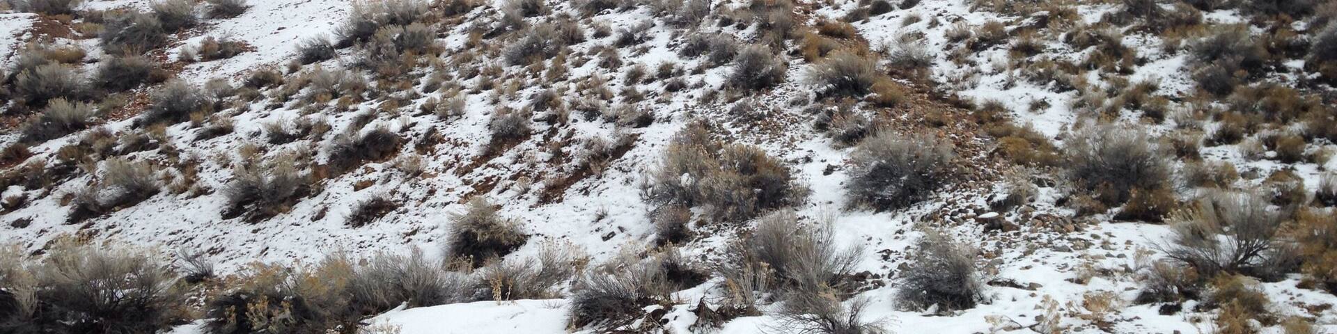 Mining #Ruins - Genola, #Utah in #snow