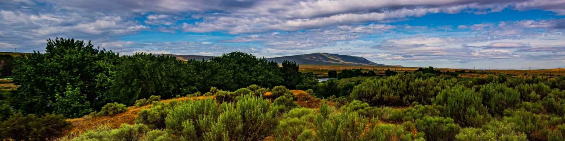 Great place to fish and camp