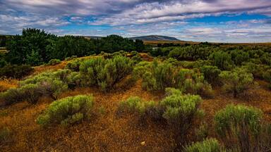 Great place to fish and camp